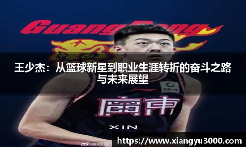 王少杰：从篮球新星到职业生涯转折的奋斗之路与未来展望